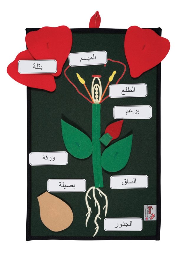 Plant in a Pocket - Arabic